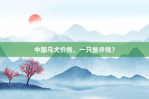 中国马犬价钱,一只些许钱?